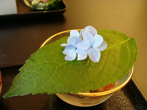 Dsc09091na7